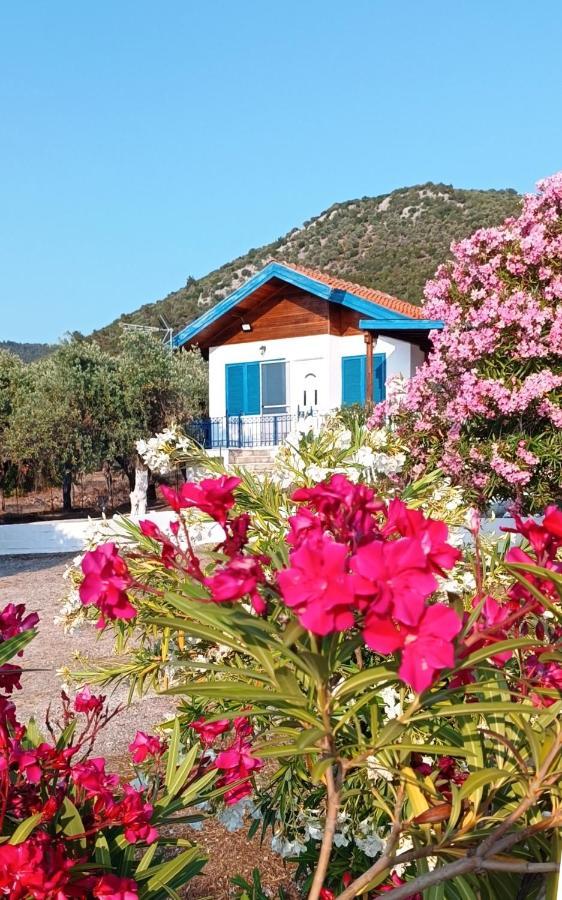 Villas Kiriaki Kallirakhi Bagian luar foto