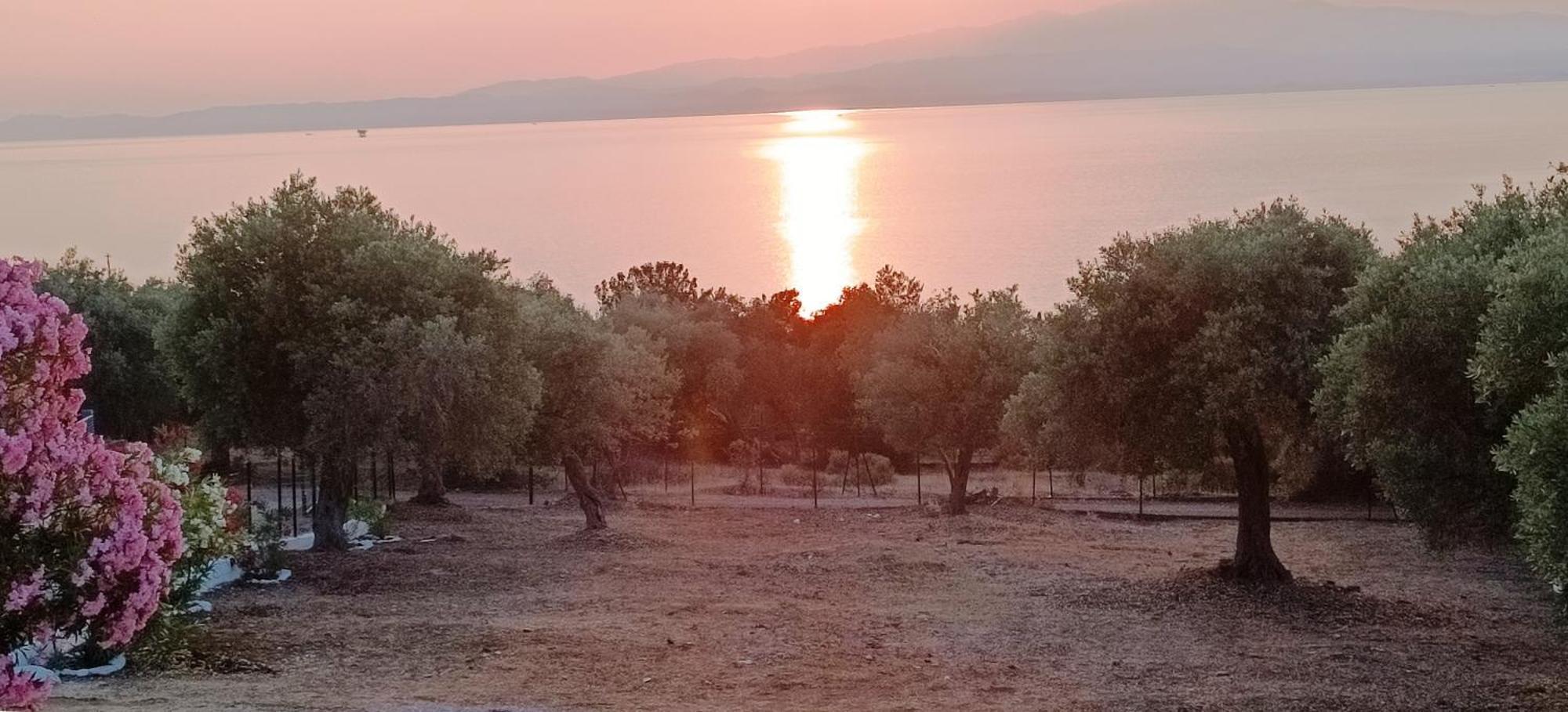 Villas Kiriaki Kallirakhi Bagian luar foto
